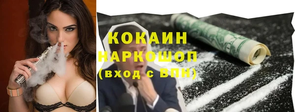 apvp Алексин