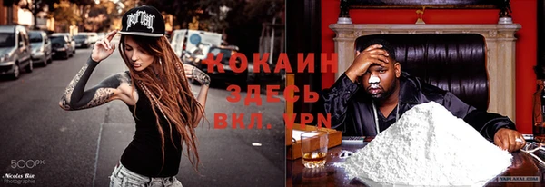 apvp Алексин